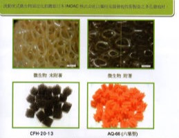 雷霆 / -INOAC-生物接觸流動床擔體